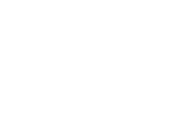 Nexus Logo
